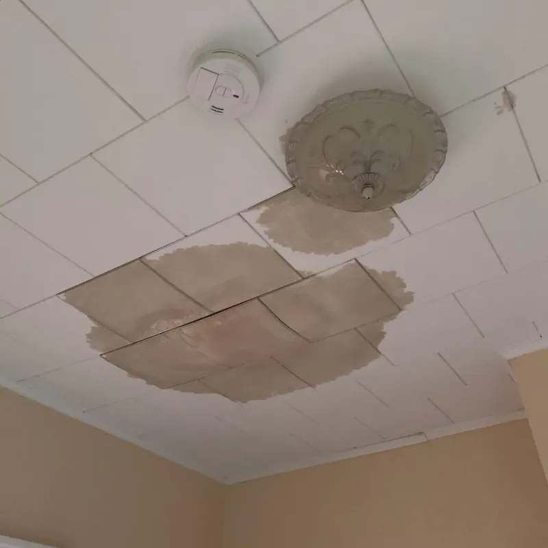 Ceiling Water Damage Repair in Sharon Springs, KS