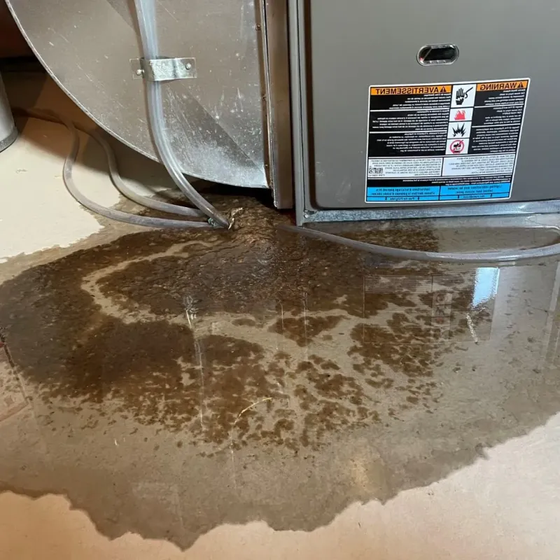 Pipe Burst and Leak Restoration in Sharon Springs, KS