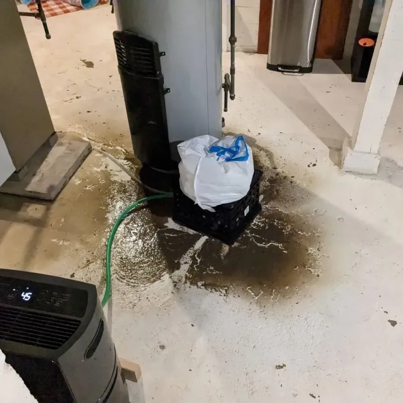 Sewage Backup Cleanup Service in Sharon Springs, KS
